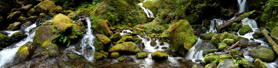 rainforest waterfalls -